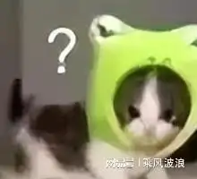 表情包问号表情包 表情包问号表情包