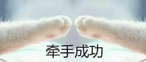 中奖表情包大全牵手