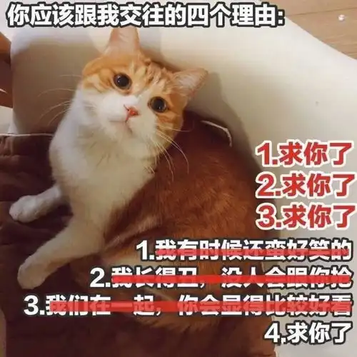 加菲猫表情包小视频微信