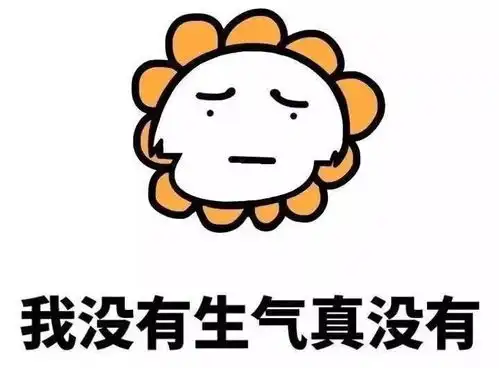 特别会生气的表情包我没有生气