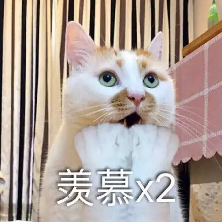  你这个卑鄙的美女卑鄙美女这个表情