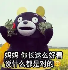  全民回忆为了玩游戏和妈妈斗智斗勇的故事