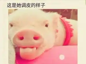  我的女朋友是猪超可爱表情包分享