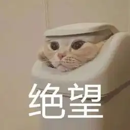  春招内幕秋招没有offer的,春招依旧没戏