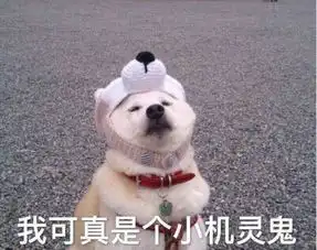  qq聊天专用表情只想做条咸鱼,我可真是个小机灵鬼儿