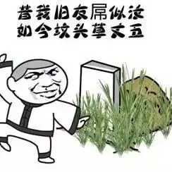 r1se表情包花开是壶刘兄