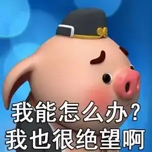  你是不是拿我表情包去撩别人了