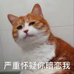  午夜树洞九九harvis哔哩哔哩直播