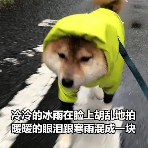  辽宁雨雨夹雪雪接连出场,断崖式降温又要来了