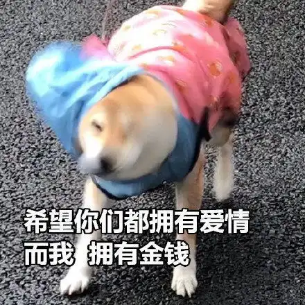  笑话段子老爸就说对门的那个闺女的今天都订婚了,你啥时候能订婚啊