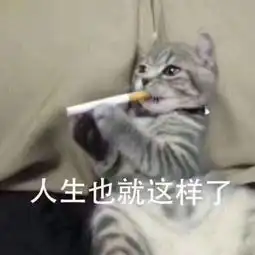 担心表情包猫咪下载