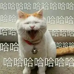  斑马竟然被卡在围栏上动物园回应了