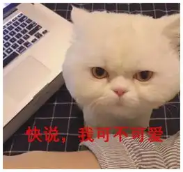  甜蜜的情话表情包一周有七天,我喜欢有你的每一天