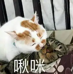  爆笑段子前女友说等我结婚的时候,你能不能做我婚车的司机