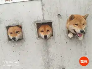  11个今日热图,吃个火锅吃出了恐怖片的感脚