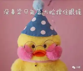 什么鬼表情包gif小黄鸭