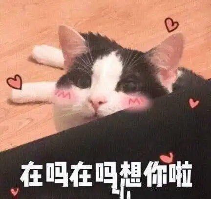 问对方在干嘛的表情包对