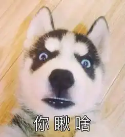  谁能宠你到老,一直陪你胡闹内附一大波潮宠表情包