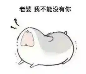 开心一刻哄老婆必备表情包你值得拥有