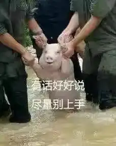 猪被打表情包沙雕