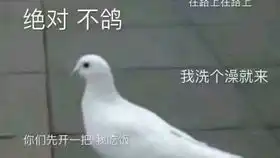  破门而入盾兵单人cqb无伤最简最高难度杀人屋某种意义上算单人