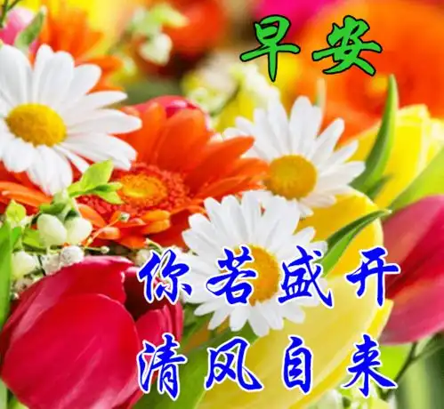  7月12日最漂亮早上好动态表情图片大全,早晨好动图美图大全