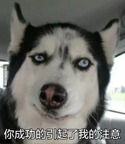  恋爱必须知道的100条法律知识