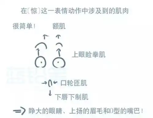  只会画五官,不会画表情告别面瘫脸,表情难点解析来了