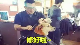  段子手丨这一切真的没什么卵用