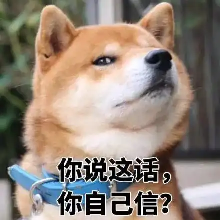  柴犬专业生产各种表情包