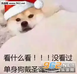  圣诞快乐圣诞表情包送给有缘人绿色圣诞帽表情包图片下载乐游网游戏下载