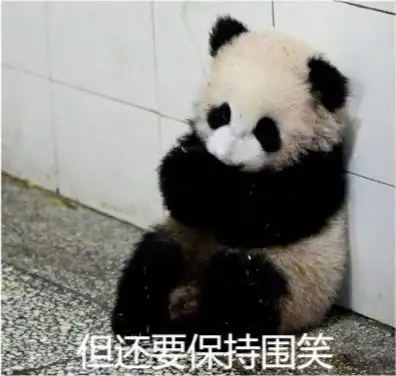  熊猫的委屈表情包我活得好悲伤,我坐在地上拉肖邦