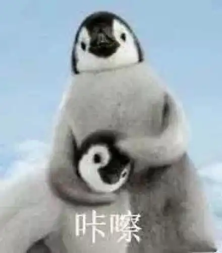  猫咪做引体向上gifgif引体向上猫咪表情