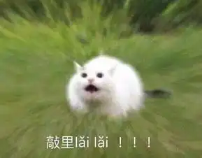  温柔骂人表情包第二弹