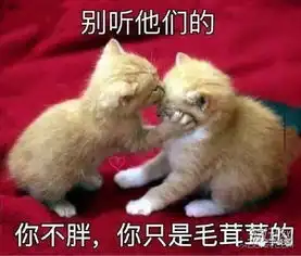 担心表情包猫咪对方