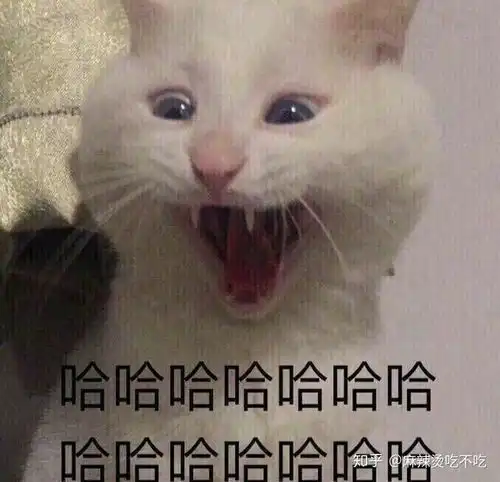  下雨天,世界杯和王贵仁麻辣烫更配哦