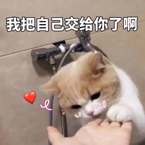  宋祖儿杨超越颜值齐跳水这个变脸大法居然是周冬雨赢了...