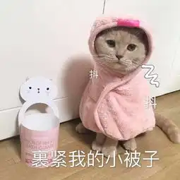 可爱的猫咪表情包合集哥哥,出来玩吗 可爱的猫咪表情包合集哥哥,出来玩吗