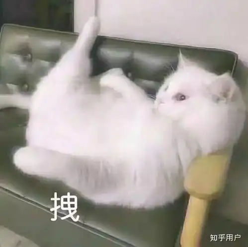  为什么网文现代言情大多重生系统