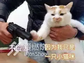  流水账之江南之巅虐人赛