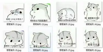  小仓鼠掉瓜子表情包下载仓鼠掉瓜子qq表情包下载免费版当易网