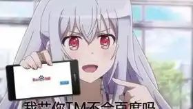  主线打公子卡bug后续无法进行