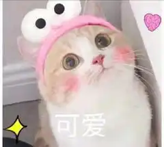 佳园装饰率先引进欧洲马尔默耐寒工艺,保证冬季装修质量更上一层楼