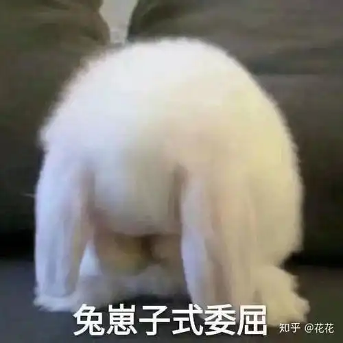 发工资表情包沙雕迪迦奥