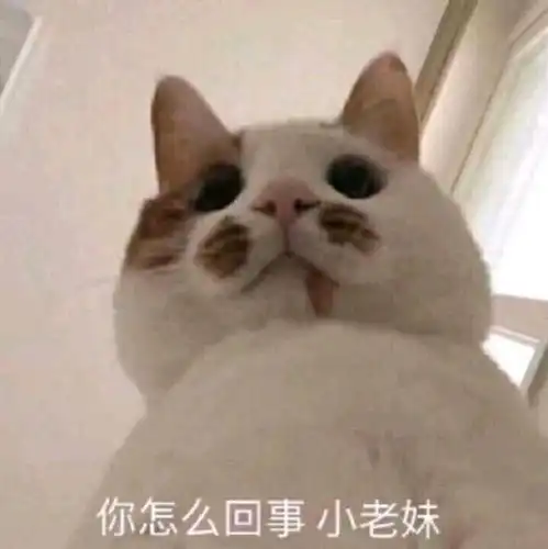 搞笑表情包图片大全集沙