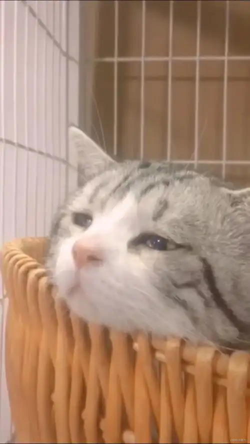  人生阶段总结