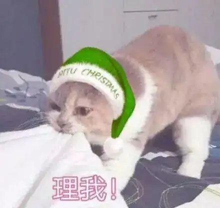  斗图小表情12.21