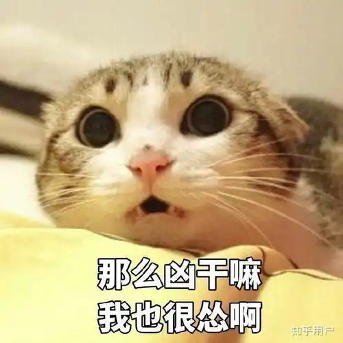  你能接受你的男朋友身高165吗