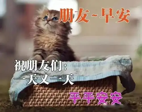  2020夏季早安问候表情图片朋友圈群发温馨的早安祝福语大全