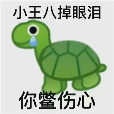  热门的沙雕聊天表情大全小王八掉眼泪你鳖伤心